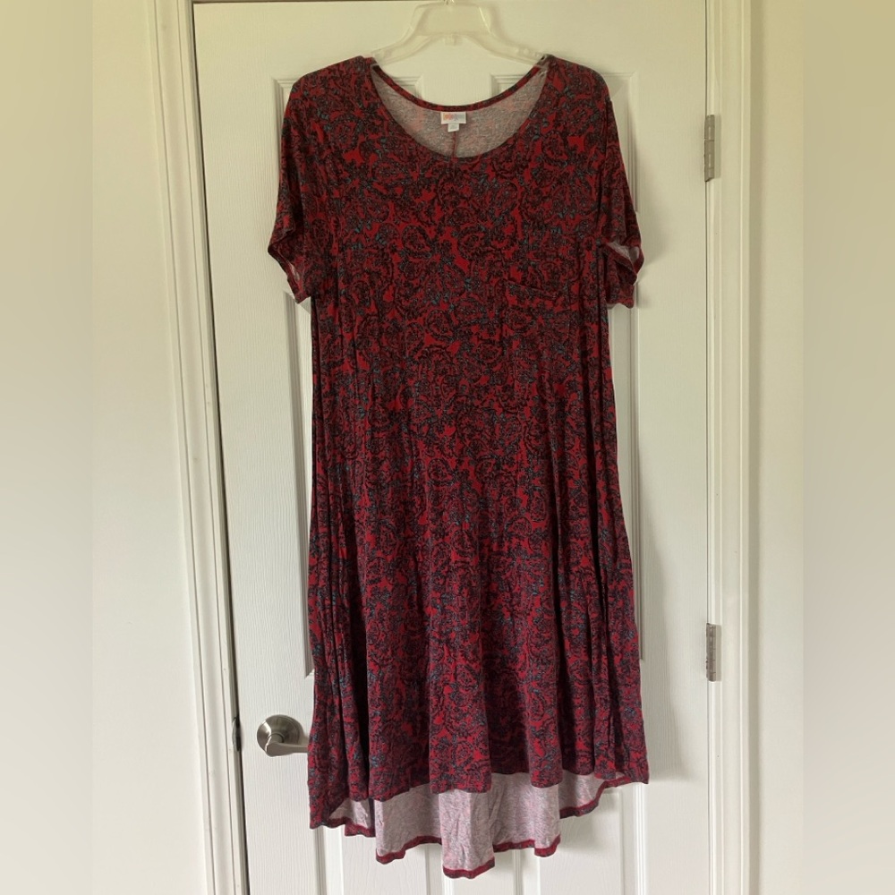 LuLaRoe Carly Swing Dress